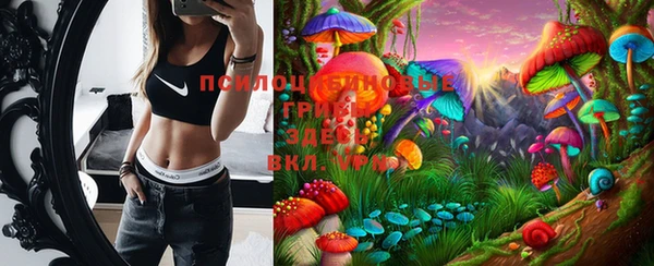 mix Надым