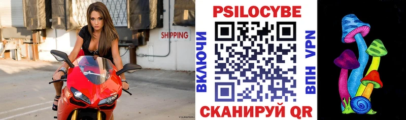 Псилоцибиновые грибы мухоморы  Нелидово 